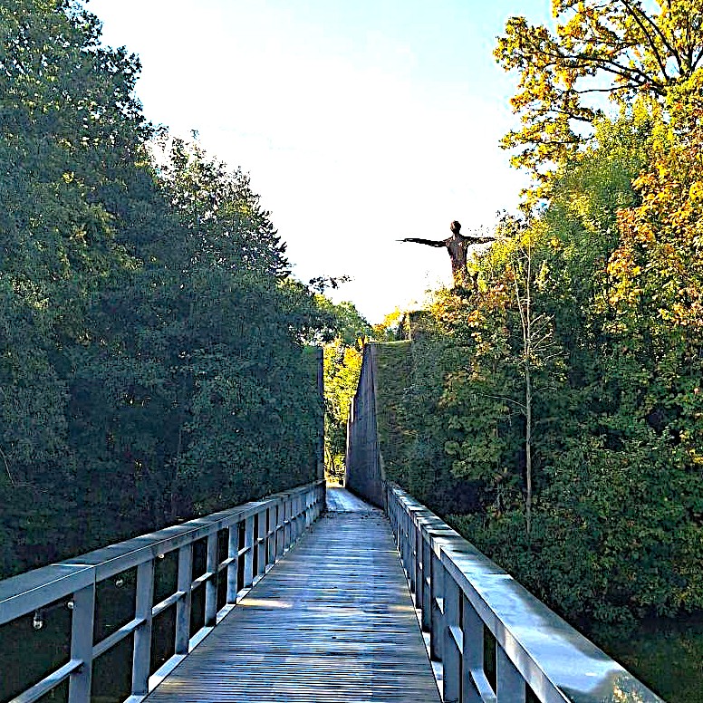 Waar Verhalen Wortel Schieten